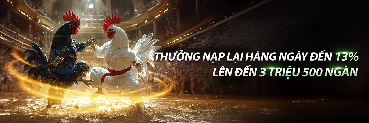 Đá gà trực tuyến 123win01